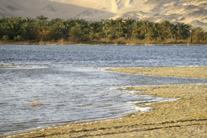 Bahariya