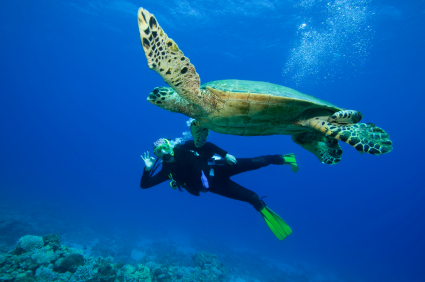 Diving