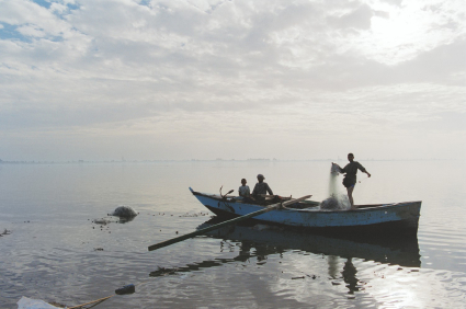 Fayoum
