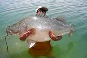 Fishing