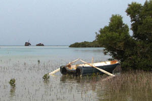 Nabq bay