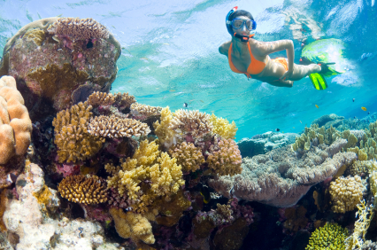 Snorkeling